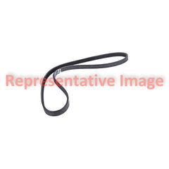 Gates® 6K439AP - V-Belt