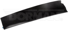 Dorman - Rear Door Molding - 926-247