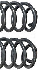 Dorman - Severe Heavy Duty Coil Spring Upgrade - 70 Percent Increased Load Handling - 929-930