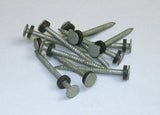 Taylor Made 96028 Nail -  Nail With Washer -  For Use With Boat Dock Edging/ Deck/ Walk Ramp -  #6 -  Flat Head With Sealing Washer -  Galvanized -  1/8 Pound Box