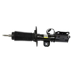 Motorcraft® AST18204 - Front Passenger Side Strut