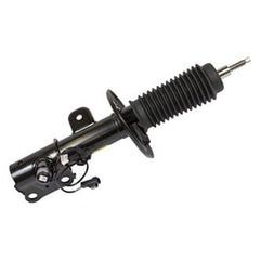 Motorcraft® AST18204 - Front Passenger Side Strut