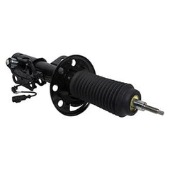 Motorcraft® AST18205 - Front Driver Side Strut
