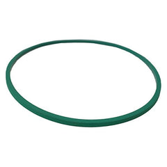 Motorcraft® CG796 - Fuel Pump Tank Seal