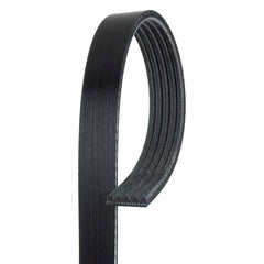 Gates® K050290 - Micro-V™ V-Ribbed Belt