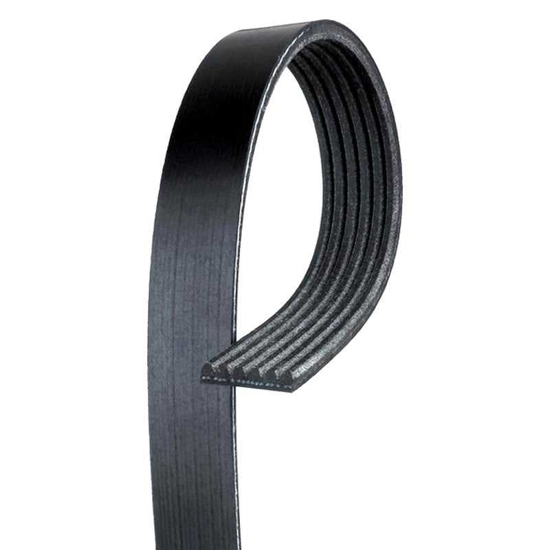 Gates® K060751 - Micro-V™ V-Ribbed Belt