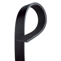 Gates® K070565 - Micro-V™ V-Ribbed Belt