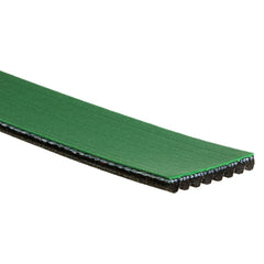 Gates® K081264HD - FleetRunner Micro-V™ Heavy Duty V-Ribbed Belt