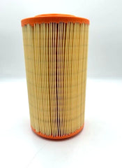 Mopar® 57009251AA - Air Filter