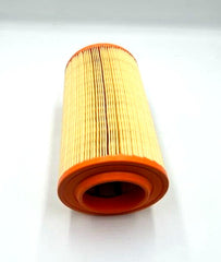 Mopar® 57009251AA - Air Filter